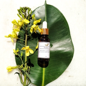 Fitotera - Fitotera Nemlendirici - Aydınlatıcı Göz Çevresi Bakım Serumu Fitotera - Fitotera Nemlendirici - Aydınlatıcı Göz Çevresi Bakım Serumu